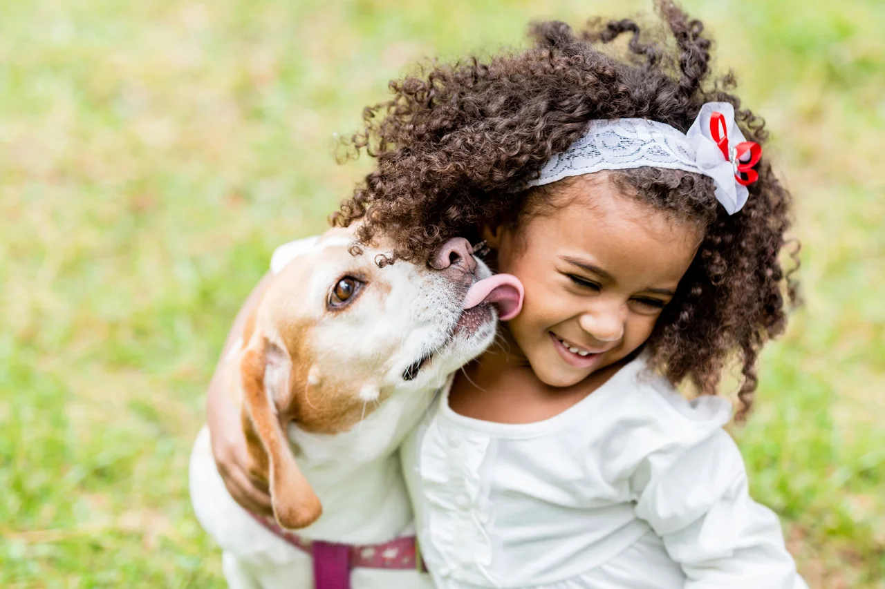 202208 02 ensinar amor animais 1