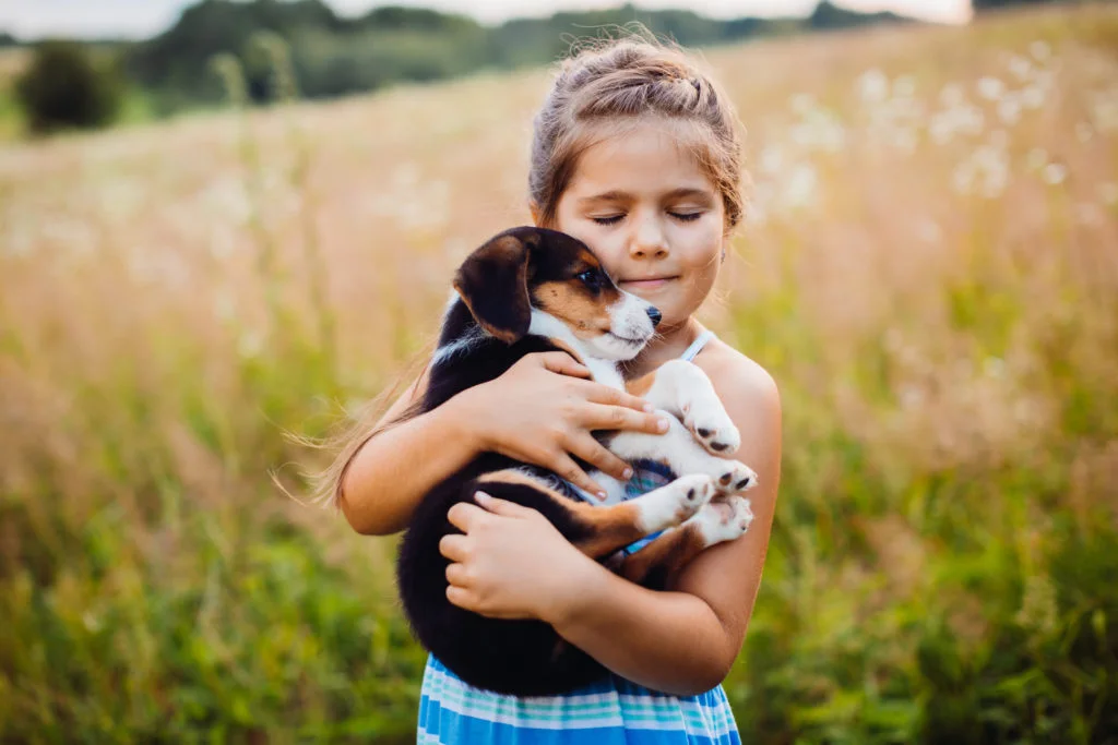 7 dicas para ensinar o amor aos animais 2 little girl holds puppy her arms